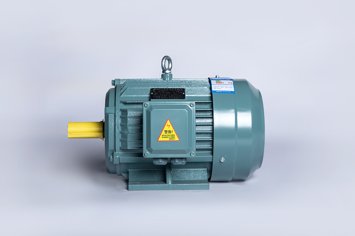 YE5 series three-phase asynchronous electric motors RPM: 750r/min Pole: 8