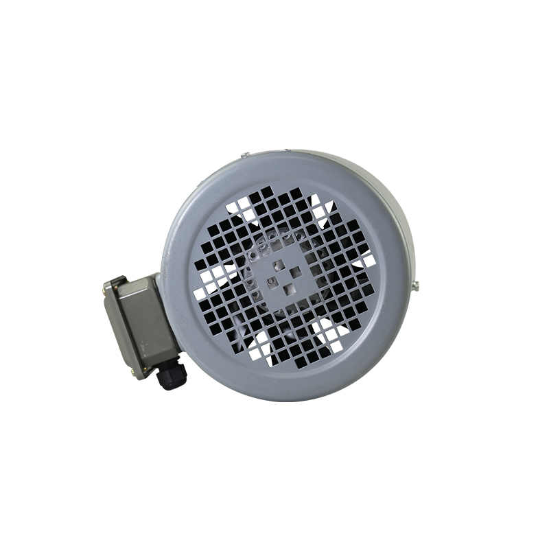 Variable-frequency fan