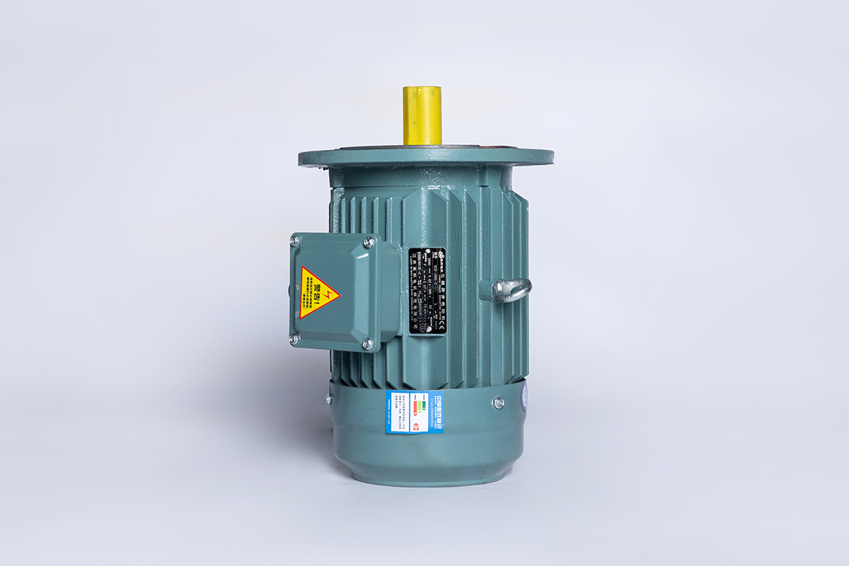 YE4 series three-phase asynchronous electric motors RPM: 750r/min Pole: 8